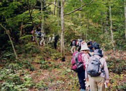 飯谷山山開き