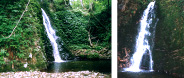 弥作の滝（左）と不動滝（右）の写真